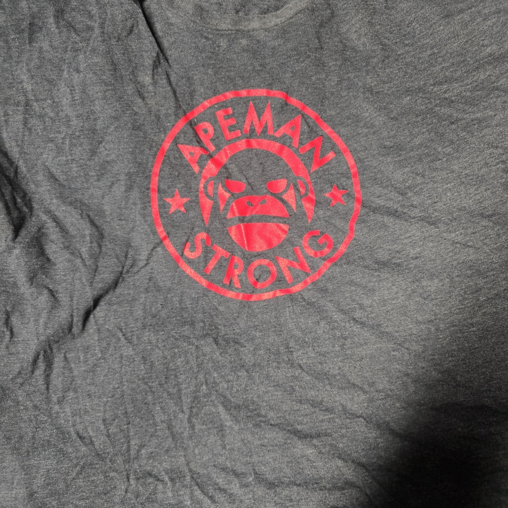 Gray T-Shirt with Red Logo